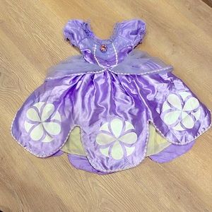 Disney Sofia the First costume